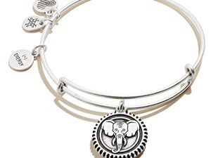 سوار Alex and Ani Path of Symbols قابل للتمدد للنساء ، مزين بنقوش الفيل ، لمسة نهائية فضية رافائيلية ، 2 إلى 3.5 بوصة